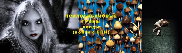 ALPHA-PVP Гусев