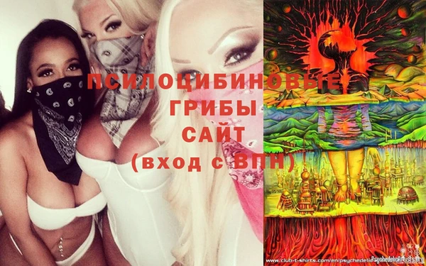 мяу мяу мука Гусиноозёрск