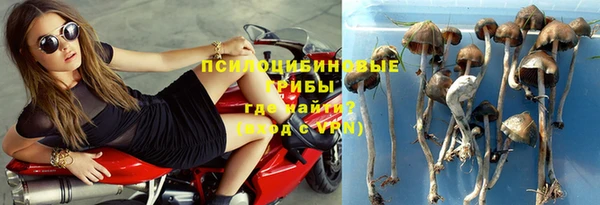 меф Гусь-Хрустальный