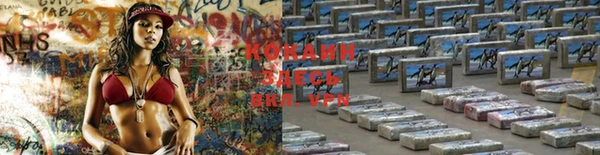 мяу мяу мука Гусиноозёрск